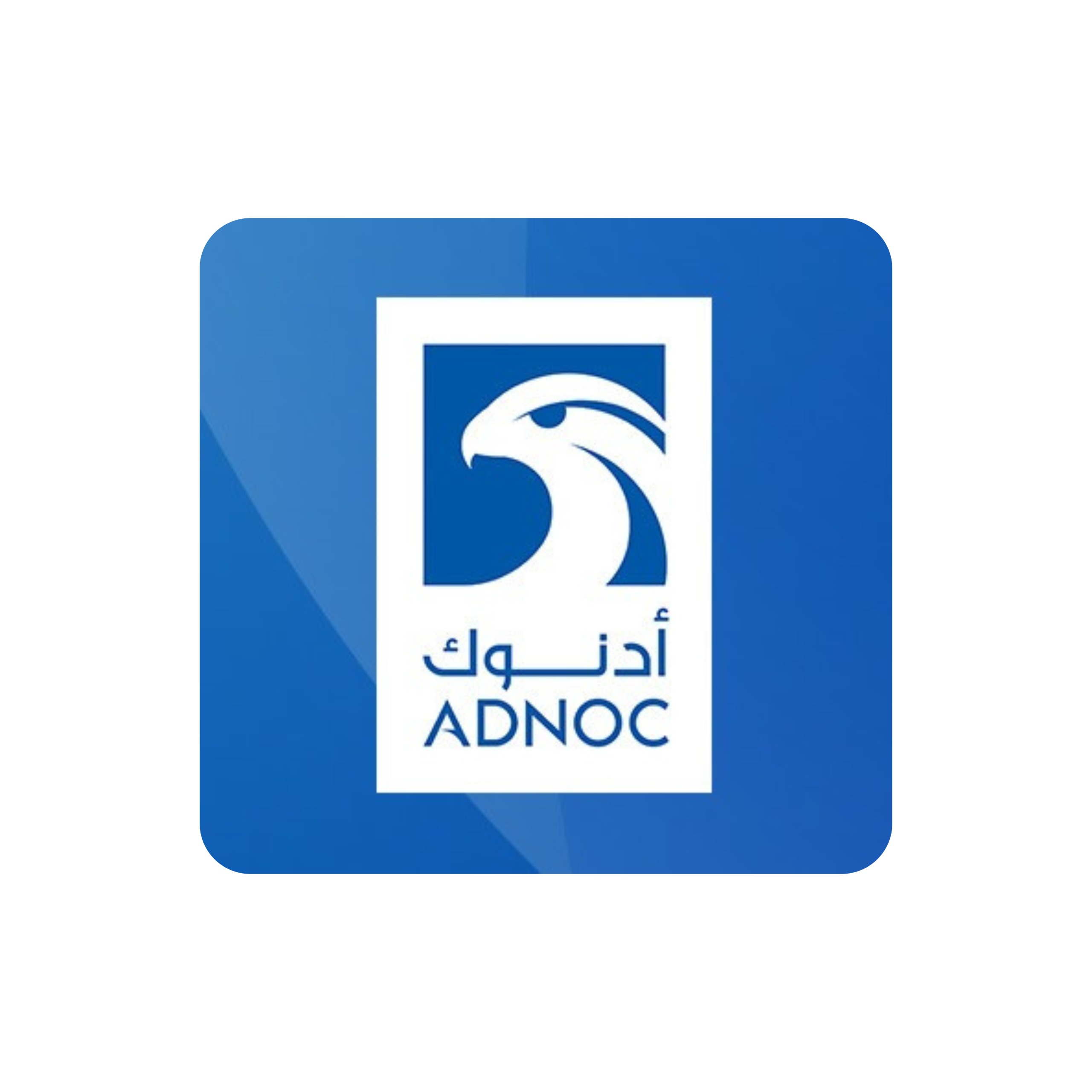 WhatsApp Image 2024-11-28 at 16.15.08_e9fb764c